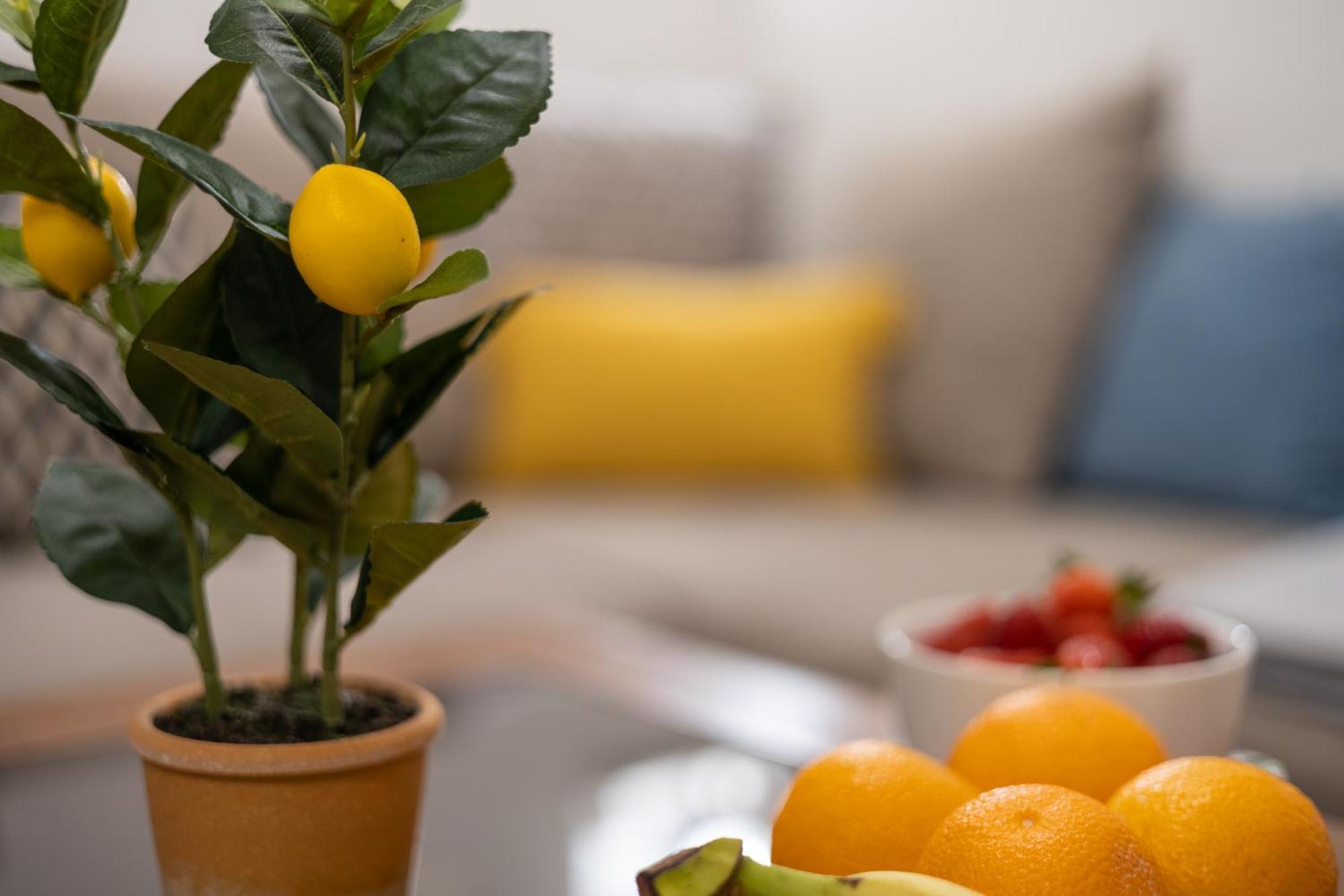ספליט Piazza Square City Top Centre Apartments מראה חיצוני תמונה
